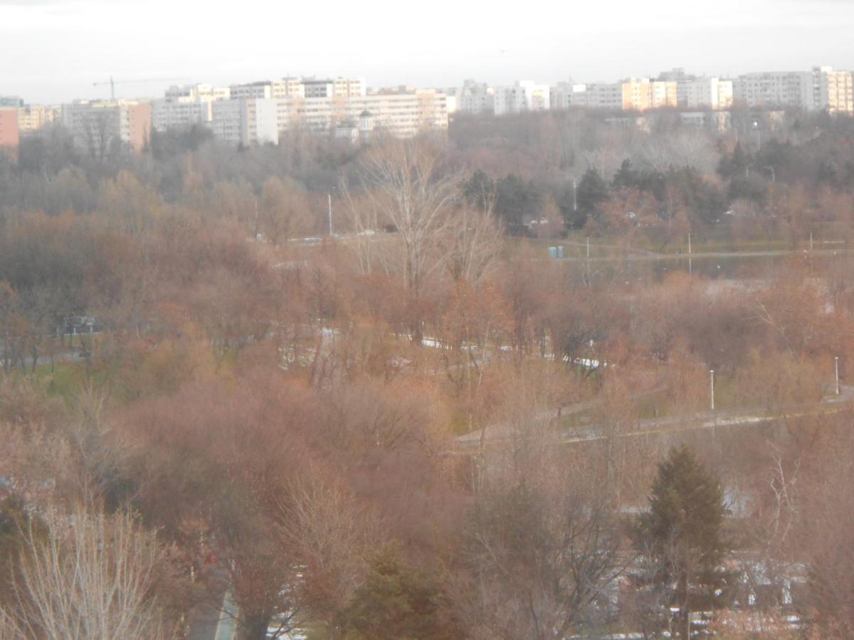Gazde/Camere de închiriat Host Tina Bucureşti